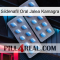 Sildenafil Oral Jelly Kamagra viagra4